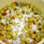 給食・食育