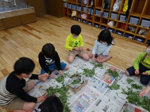 よもぎ団子作り